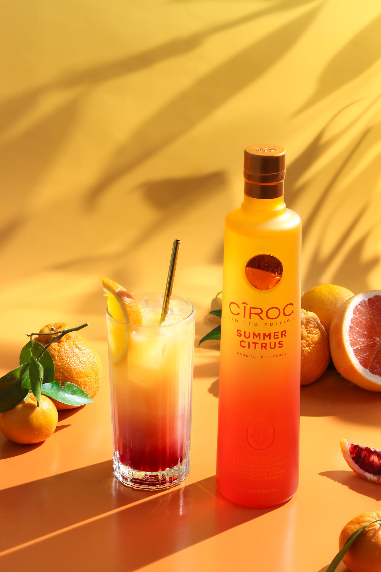 Vip-drink Vodka Ciroc Summer Citrus France