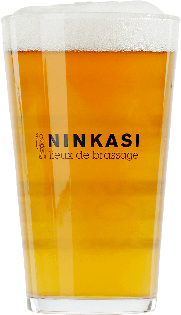 Lot de 6 verres à bière Ninkasi 50cl