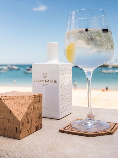 Gin Adamus Portugal Vip-drink.com