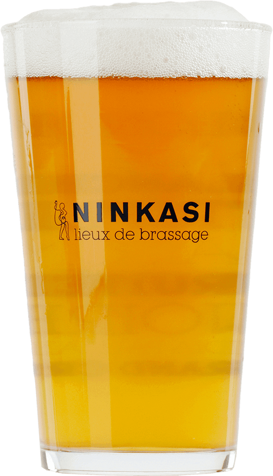 Lot de 6 verres à bière Ninkasi 50cl