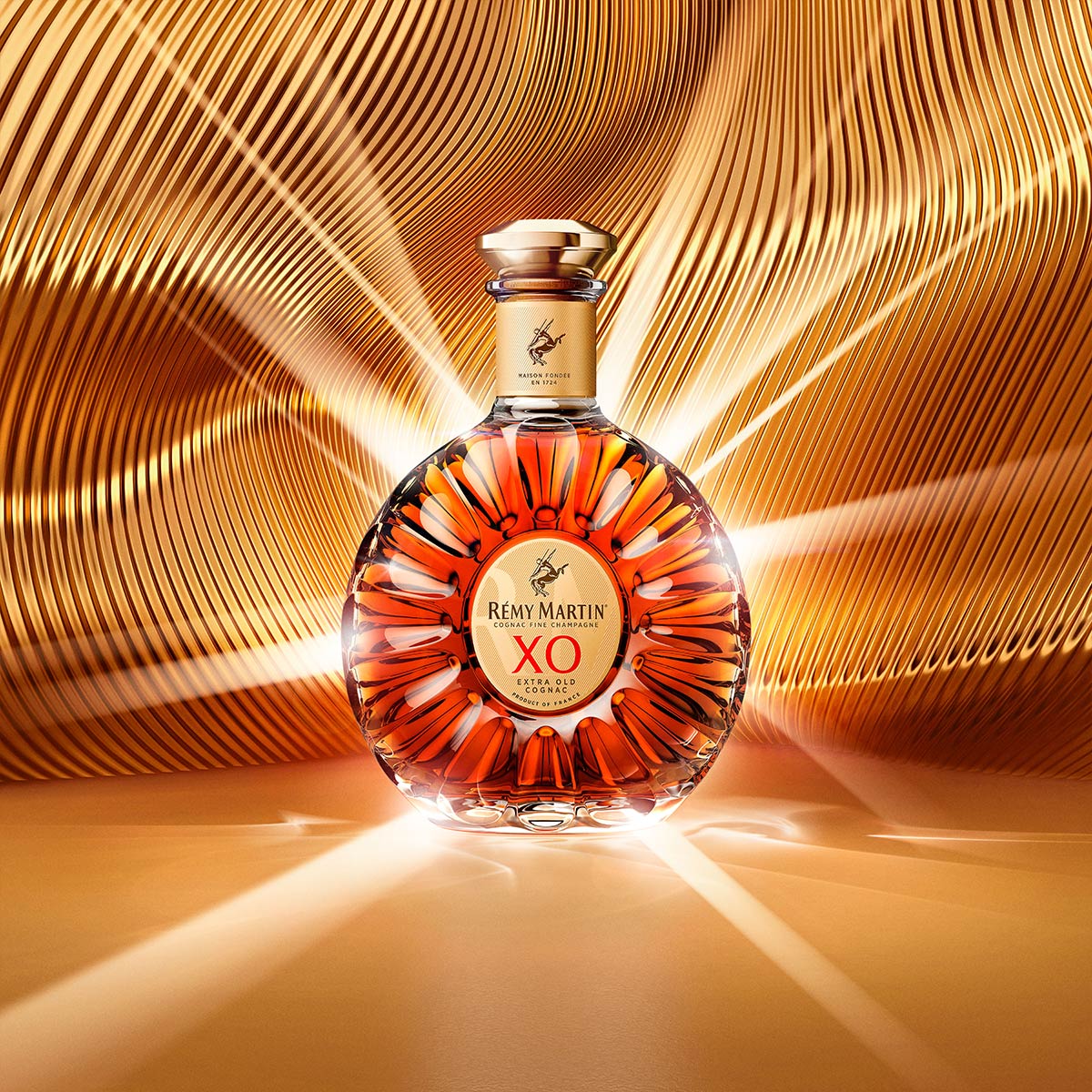 Rémy Martin XO cognac Fine Champagne